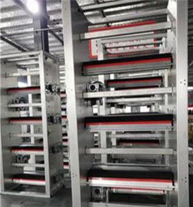 攜手創(chuàng)新，智贏未來 自動(dòng)化蛋雞養(yǎng)殖設(shè)備技術(shù)咨詢與生產(chǎn)合作指南